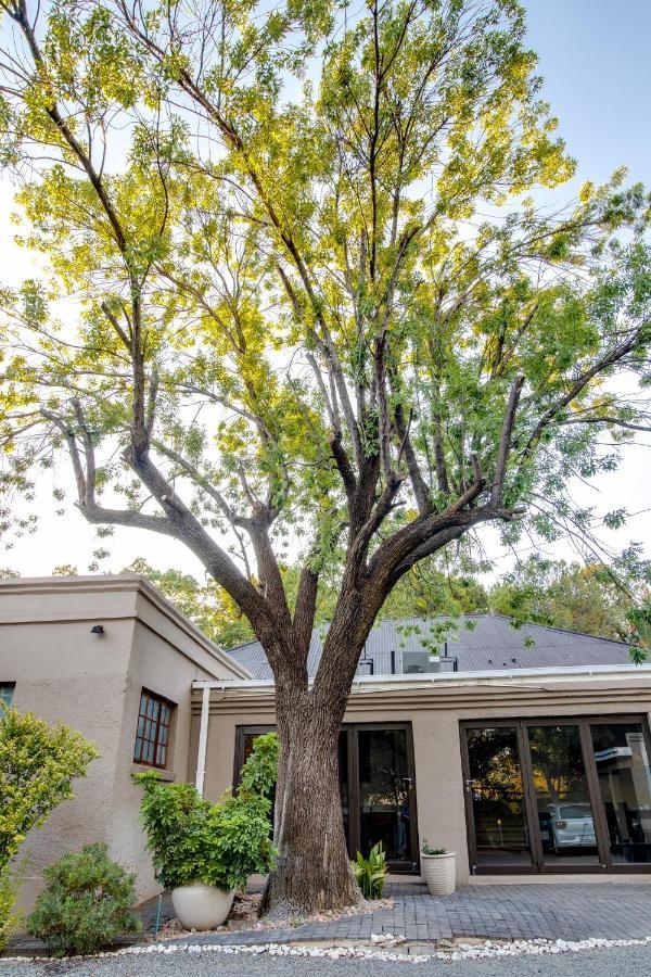 The Nightingale Guesthouse Bloemfontein Exteriér fotografie